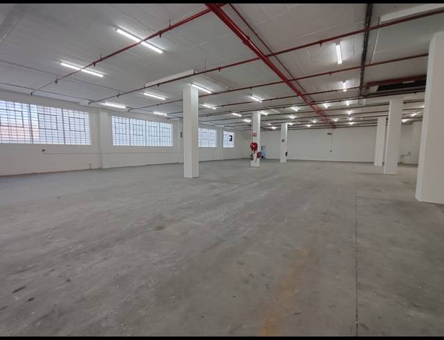 1,414M² WAREHOUSE TO LET IN MAITLAND